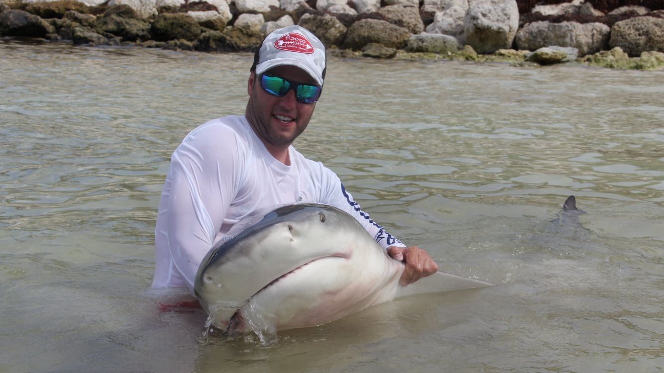pescartiburonmiami1 pesca tiburon miami