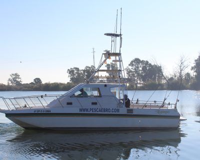charter pesca delta ebro